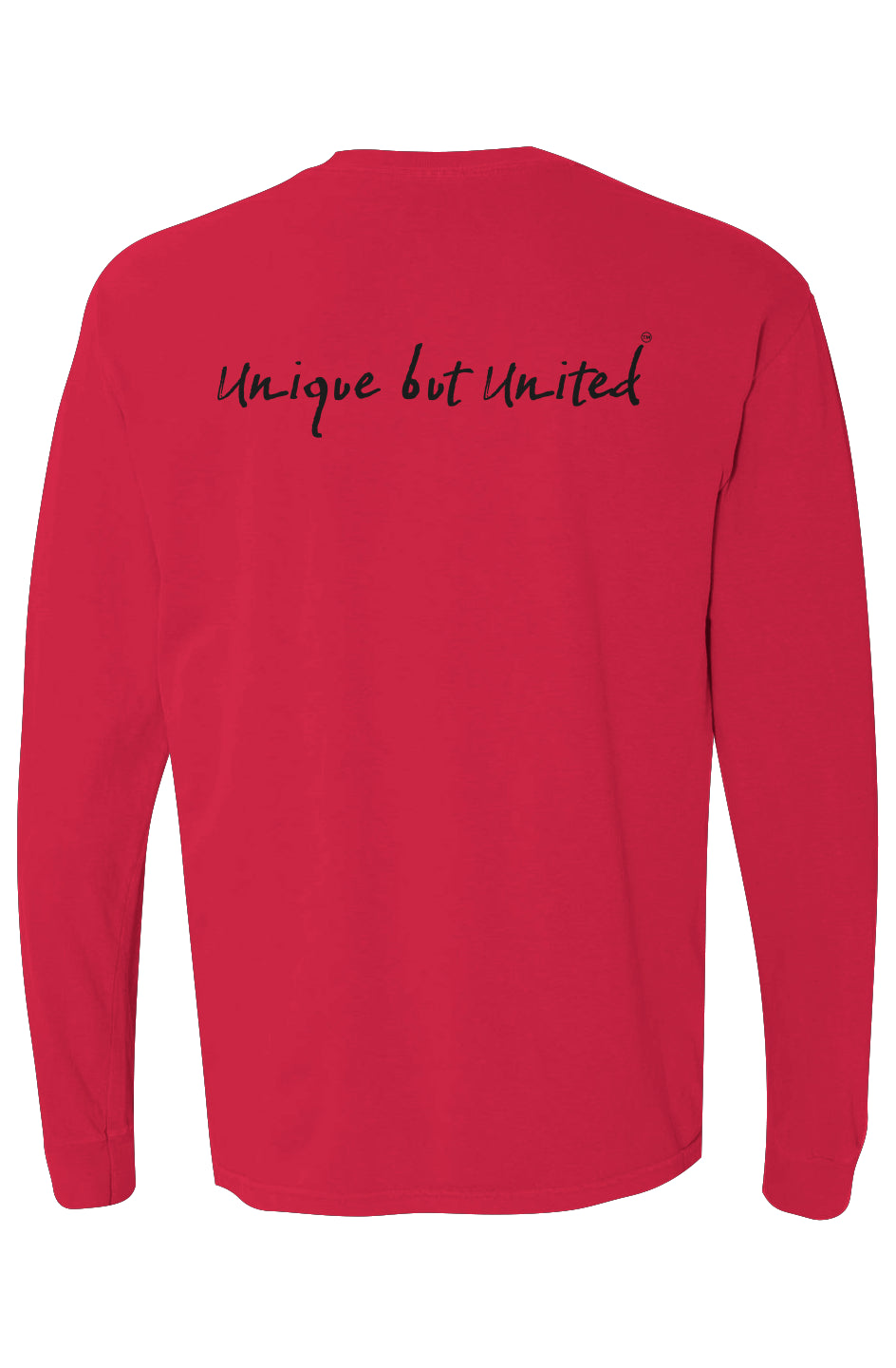 Stay Woke Bright Pigment Dyed Heavyweight Long Sleeve T Shirt