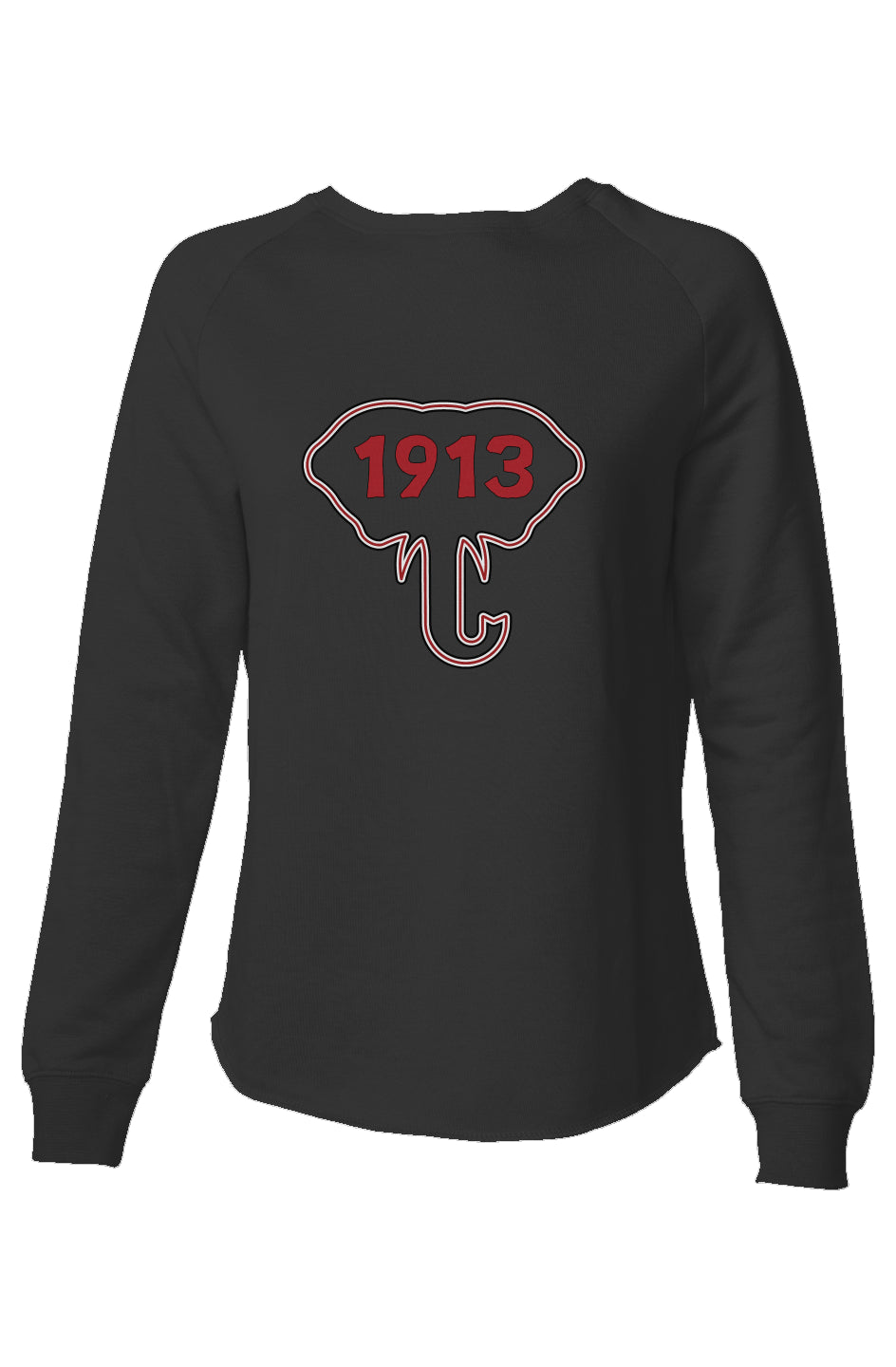 DST Fin Womens Lightweight Wash Sweatshirt