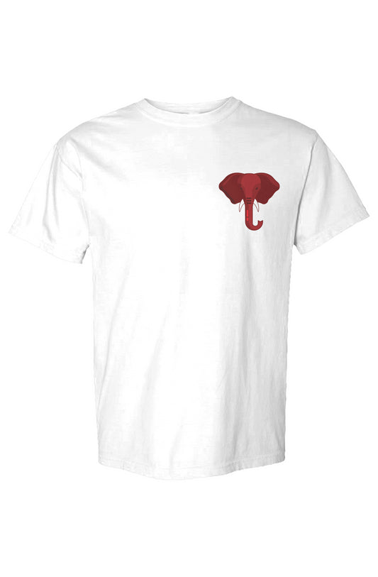 1913 Unisex Heavyweight T-Shirt
