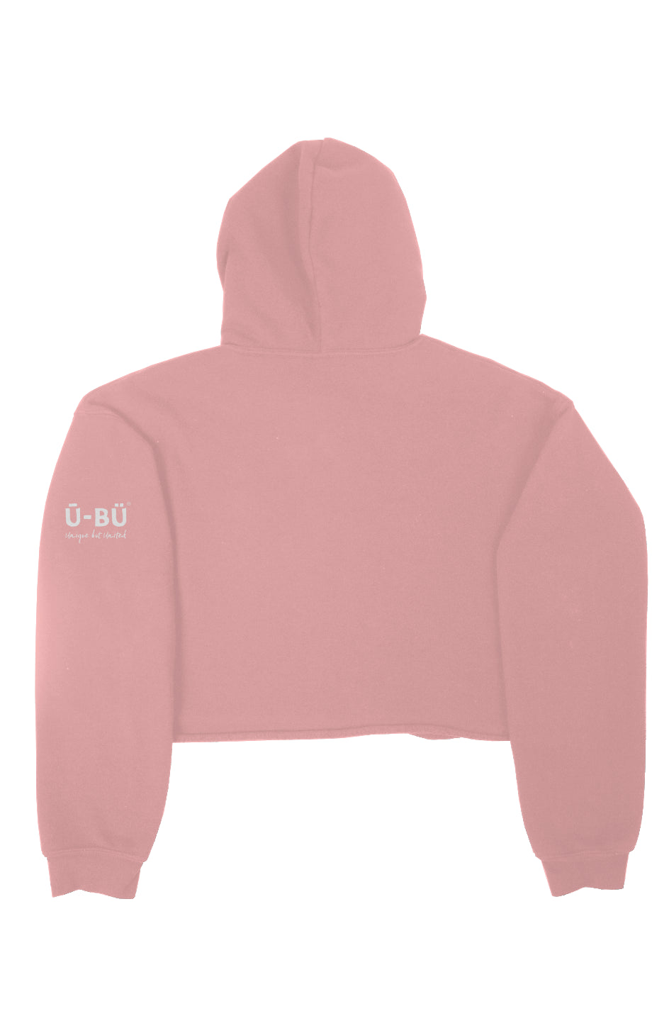 Detroit Spirit Crop Hoodie