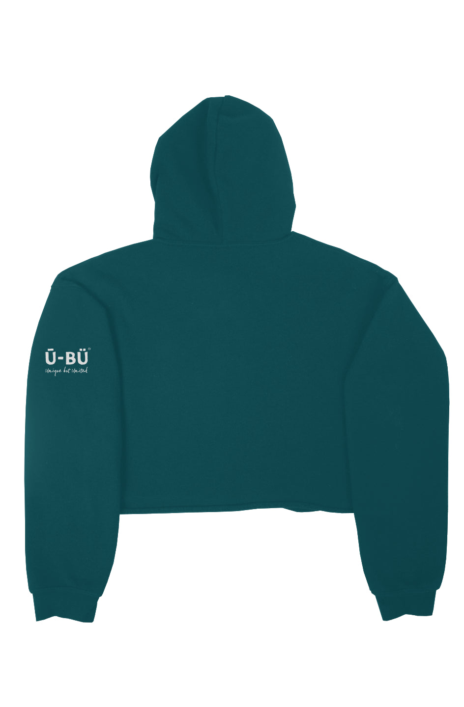 Detroit Spirit Crop Hoodie