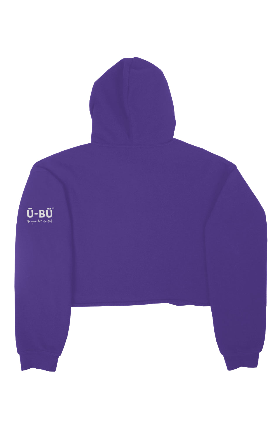 Detroit Spirit Crop Hoodie