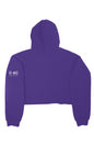 Detroit Spirit Crop Hoodie