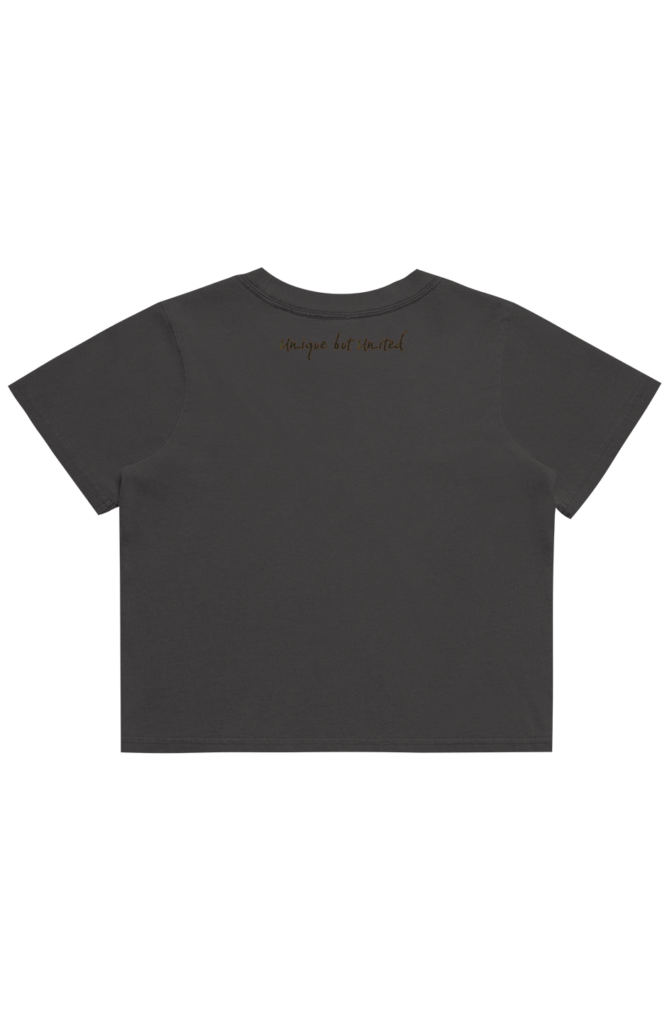 HBCU LOVE Heavy Faded Crop Tee