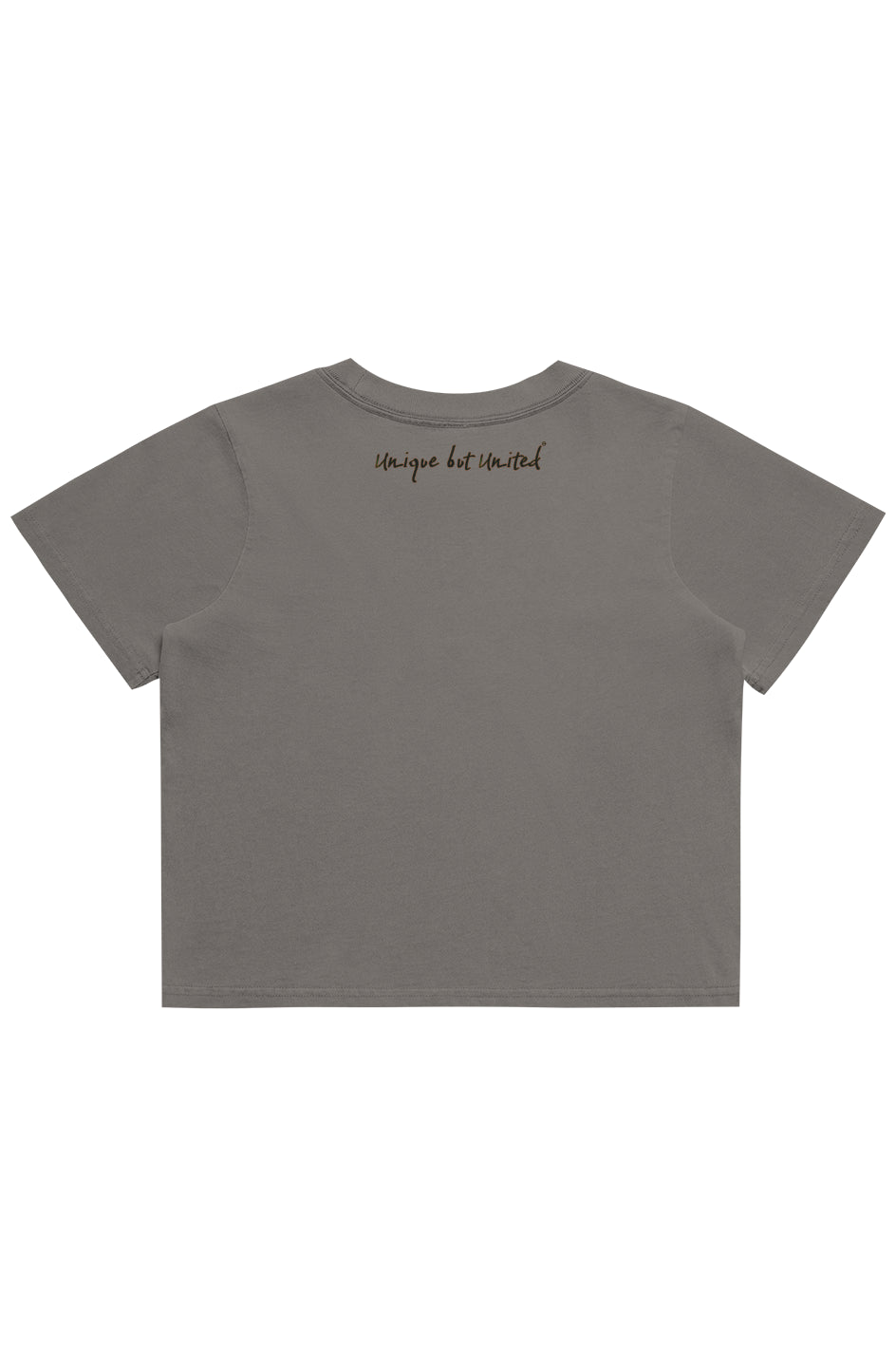 HBCU LOVE Heavy Faded Crop Tee