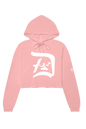 Detroit Spirit Crop Hoodie