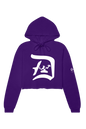 Detroit Spirit Crop Hoodie