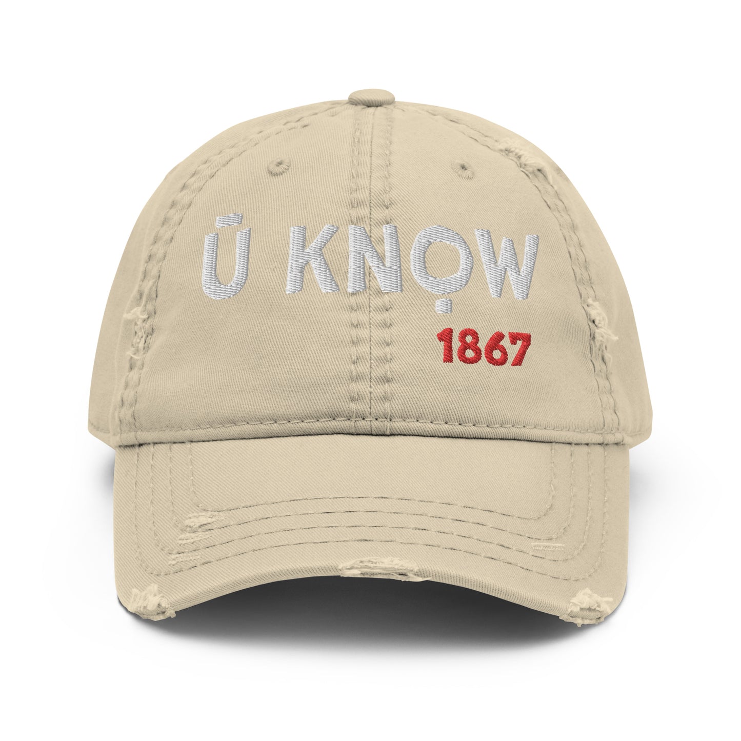 U Know 1867 Distressed Dad Hat