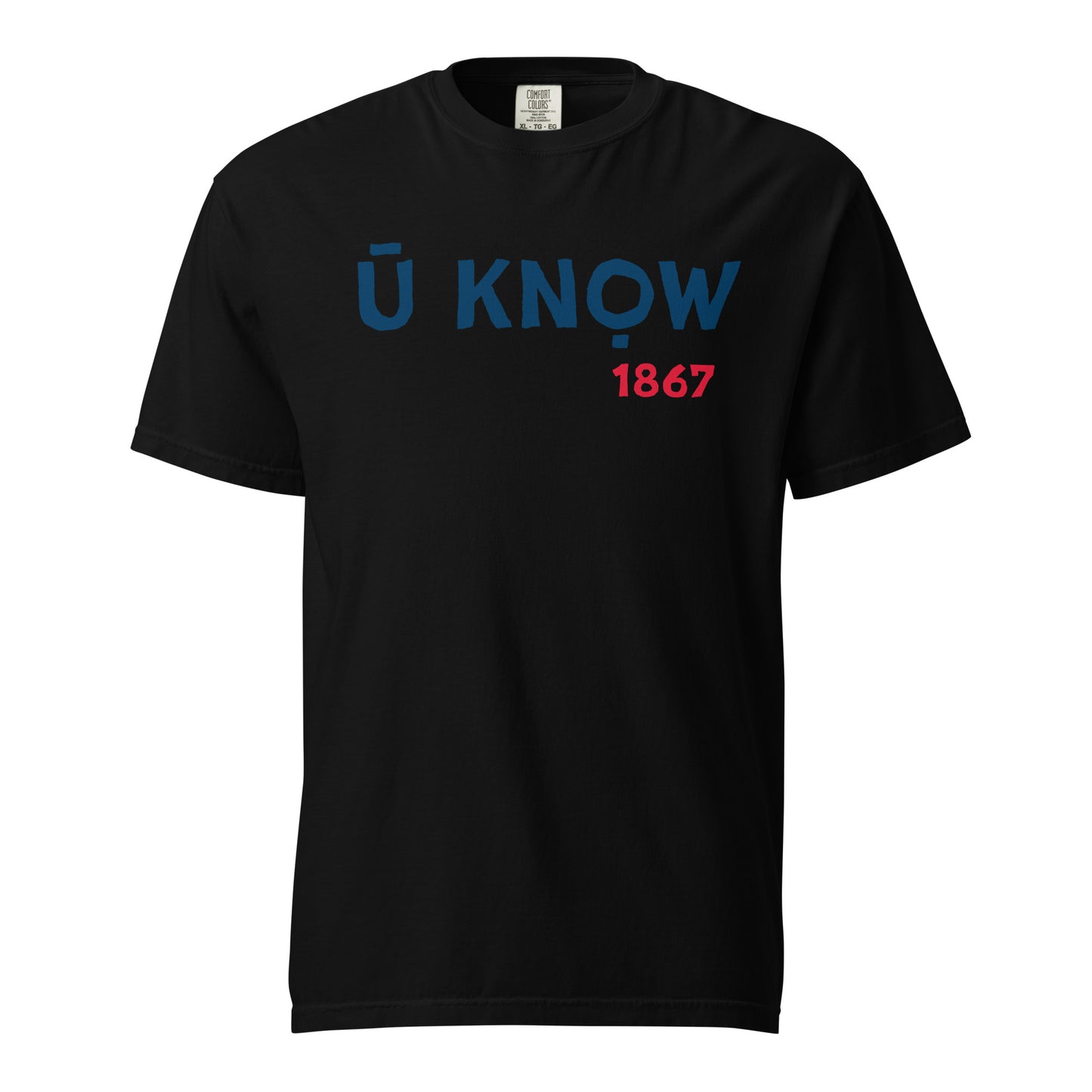 U Know 1867 Unisex Heavyweight T-Shirt - Blue + Red