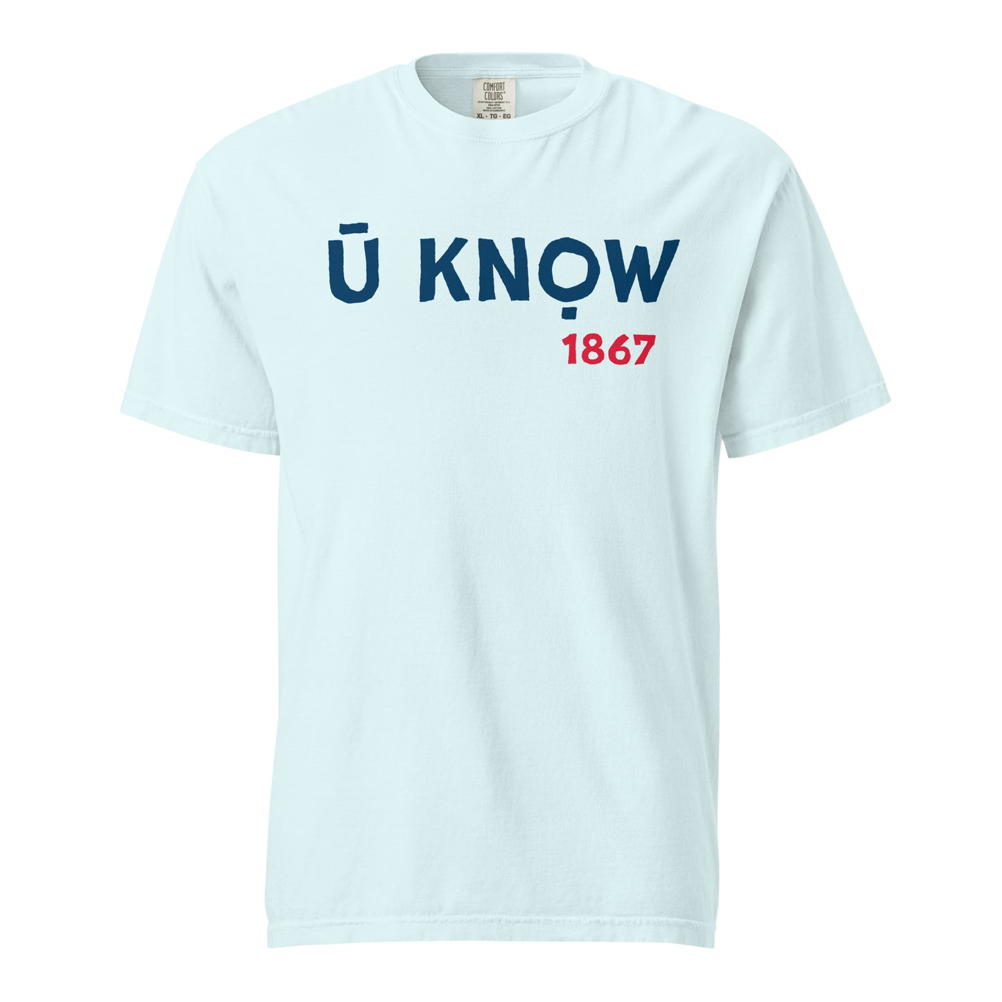 U Know 1867 Unisex Heavyweight T-Shirt - Blue + Red