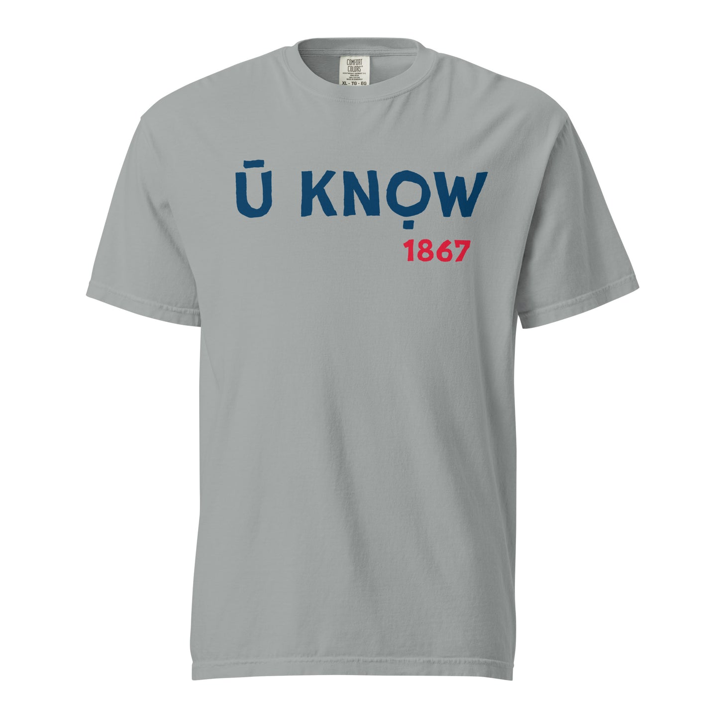 U Know 1867 Unisex Heavyweight T-Shirt - Blue + Red