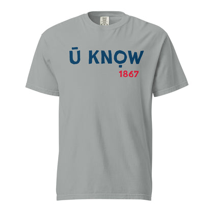 U Know 1867 Unisex Heavyweight T-Shirt - Blue + Red