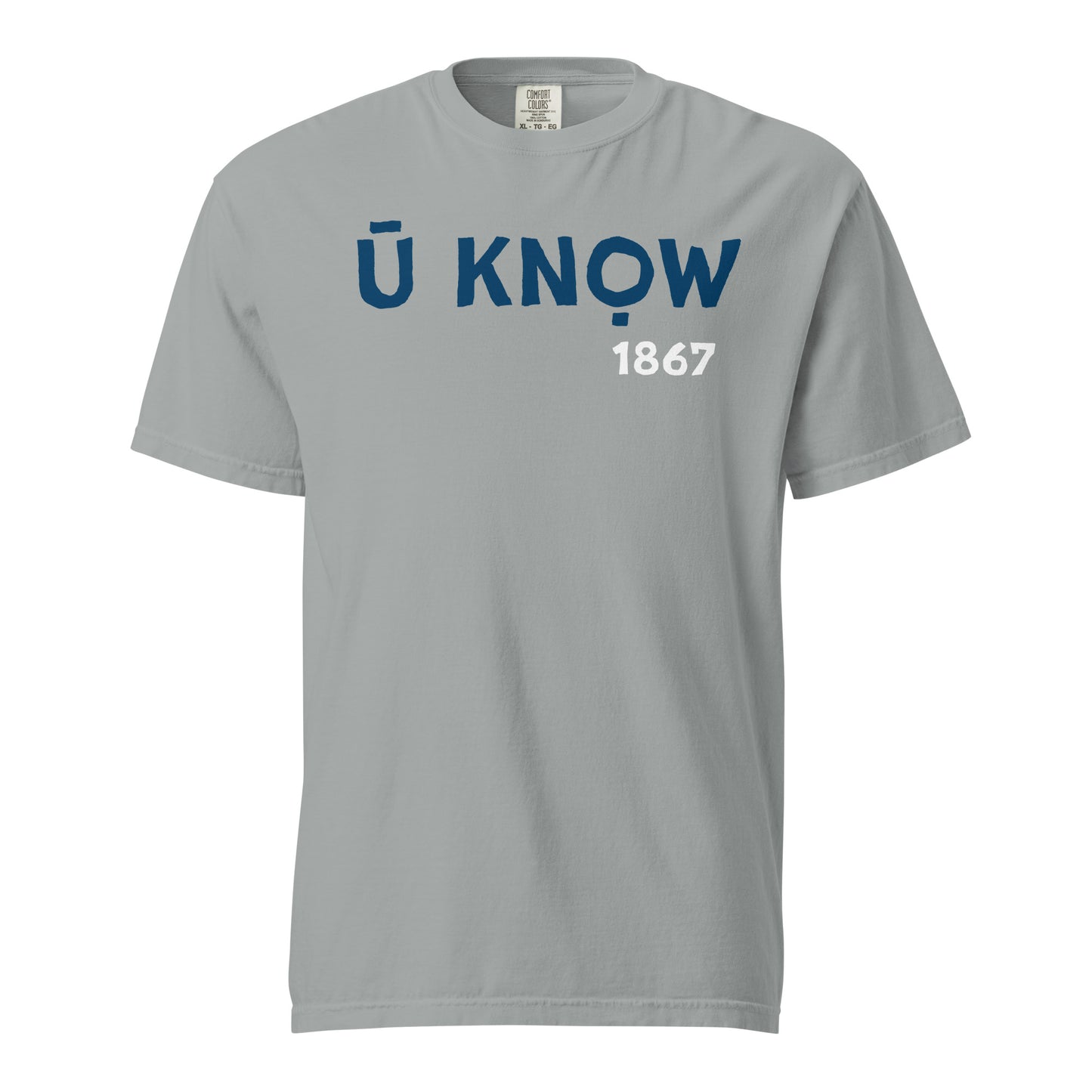 U Know 1867 Unisex Heavyweight T-Shirt - Blue + White