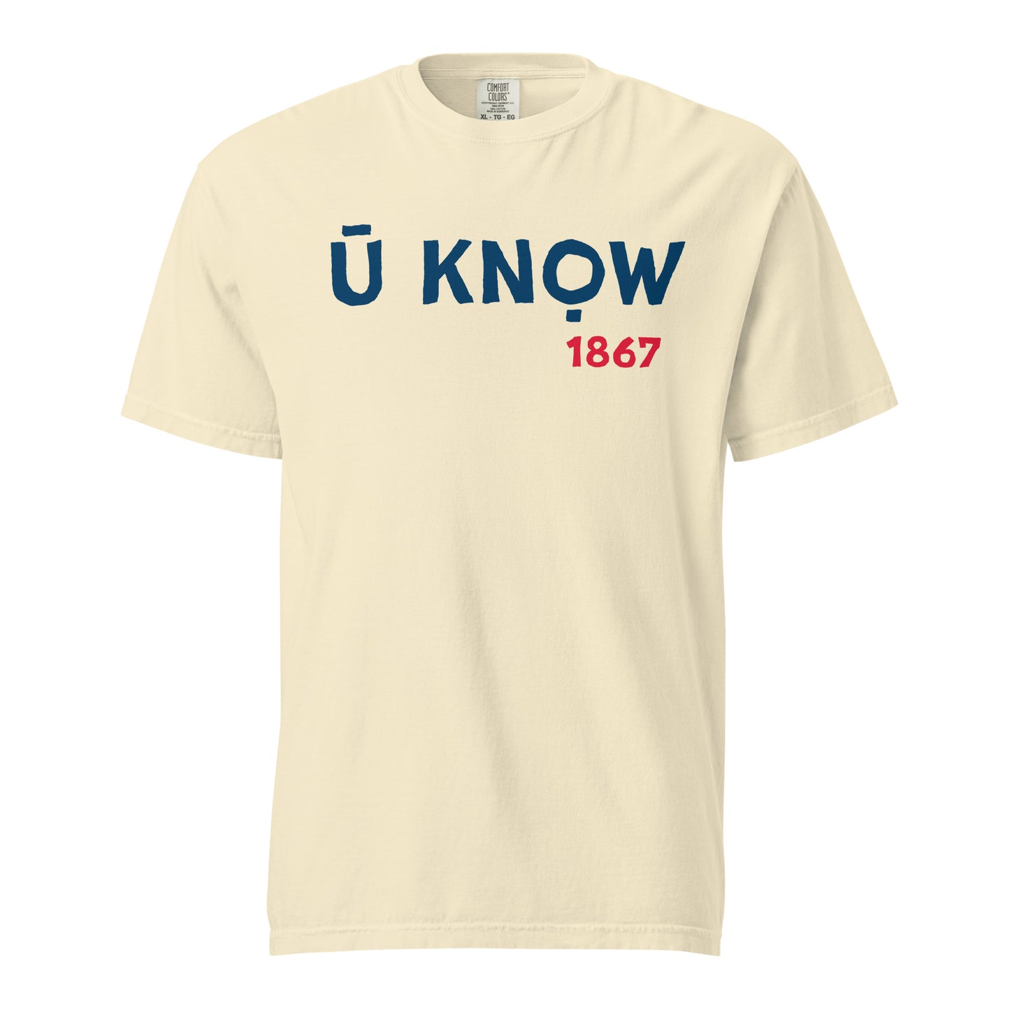 U Know 1867 Unisex Heavyweight T-Shirt - Blue + Red