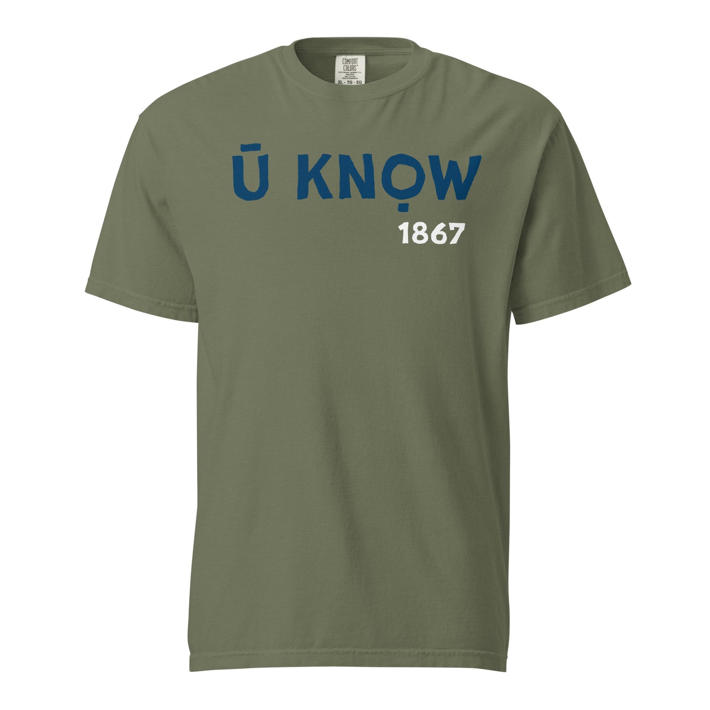 U Know 1867 Unisex Heavyweight T-Shirt - Blue + White