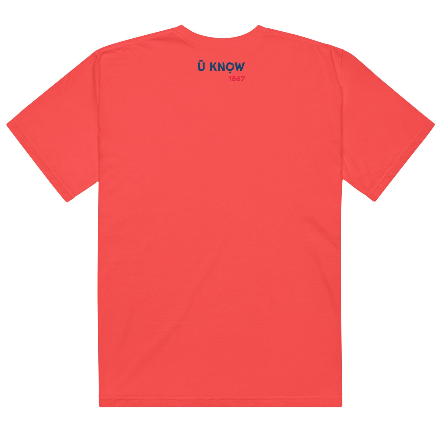 HU - BU Unisex Heavyweight T-Shirt - Blue + Red