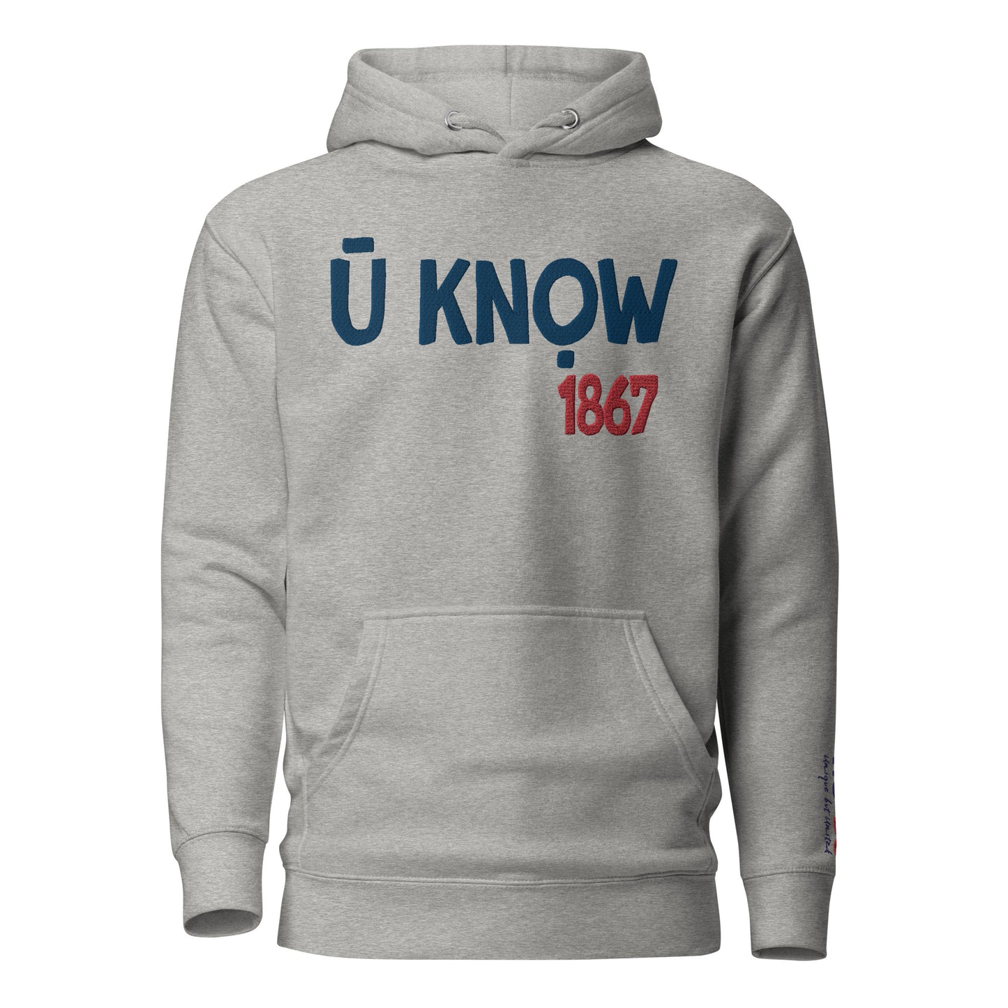 U know 1867 Unisex Hoodie - Blue + Red Embroidery