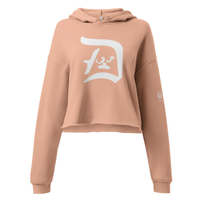 Detroit Spirit Crop Hoodie